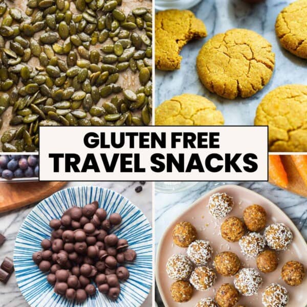 gluten free travel snack recipes thumbnail