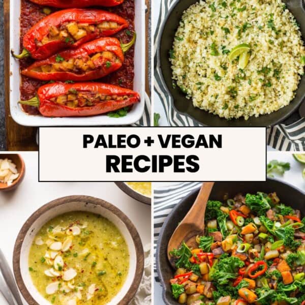 paleo + vegan recipes thumbnail