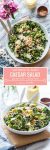 Salmon Kale Caesar Salad pinterest graphic: gluten free + low carb