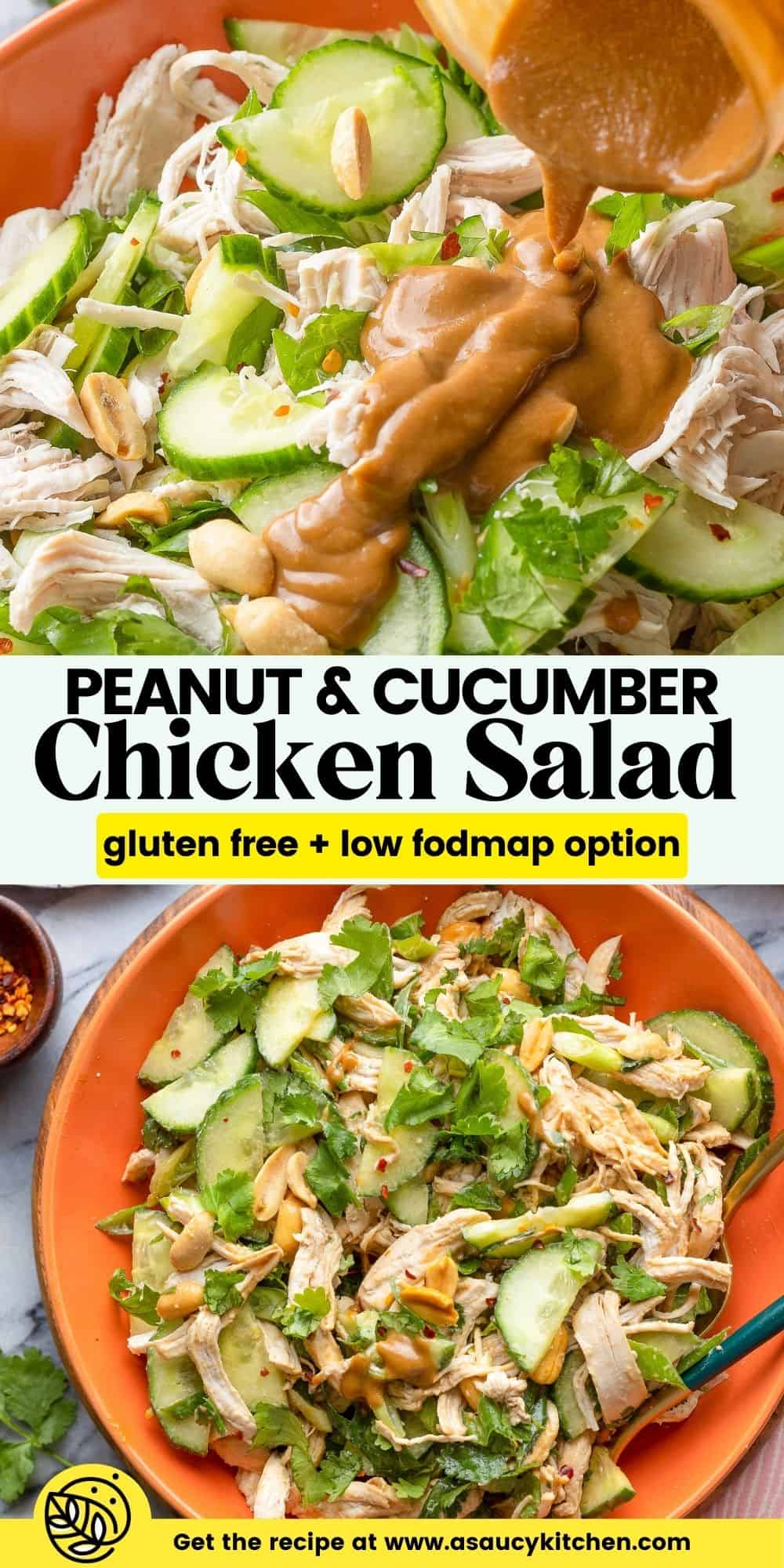 Peanut Cucumber Chicken Salad - A Saucy Kitchen