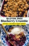 Gluten Free Blueberry Crumble pinterest marketing image: oat with + nut free and vegan options