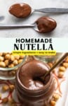 Homemade Nutella Pins image: simple ingredients + easy to make